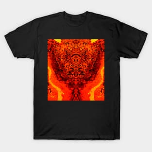 Enlightened T-Shirt